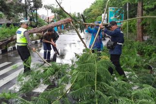 Bali Diguyur Hujan Lebat dan Angin Kencang, Pohon Bertumbangan, Waspada! - JPNN.com Bali