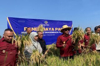 Lapas Terbuka Lombok Tengah Panen Raya Padi, Dukung Ketahanan Pangan Nasional - JPNN.com Bali