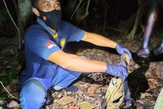 Horor, Pria Manggarai Ditemukan Tewas di Lahan Kosong setelah Hilang Berhari-hari - JPNN.com Bali