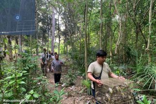 BKSDA Bali Melepasliarkan 310 Burung ke Alam Liar, Cegah Praktik Perdagangan Ilegal - JPNN.com Bali