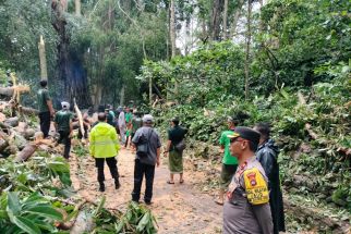 Kronologi 2 Turis Asing Tewas Tertimpa Pohon Tumbang di Monkey Forest Ubud Bali - JPNN.com Bali