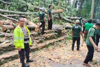 Monkey Forest Ubud Bali Tutup Sementara, Imbas 2 WNA Tewas Tertimpa Pohon - JPNN.com Bali