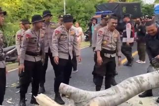 Pelajar SMA di Jembrana Tewas Tertimpa Pohon saat ke Sekolah, Amor Ring Acintya - JPNN.com Bali