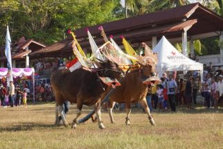 Kadispar Buleleng Bangga Pemuteran Bay & Lovina Festival Masuk Kalender KEN 2025 - JPNN.com Bali