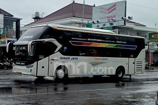 Jadwal Bus AKAP dari Bali ke Pulau Jawa Kamis (13/3), Cek Harga Tiket Terbaru! - JPNN.com Bali