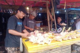Harga Cabai Naik, Ayam Potong juga Ikut-ikutan - JPNN.com Banten