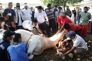 Pj Gubernur Banten Menyembelih Hewan Kurban Presiden Jokowi - JPNN.com Banten