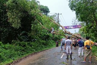 Waspada Hujan Lebat dan Angin Kencang di Serang, Lebak, Pandeglang, Cilegon - JPNN.com Banten