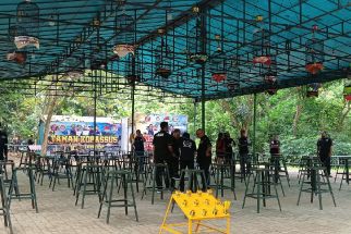 Cuit, Cuit, Kicau Mania Berebut Piala Kopassus & Uang Puluhan Juta - JPNN.com Banten