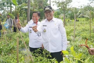 Punya Hasil Pertanian Baik, Kecamatan Purwakarta Cilegon Bakal Dijadikan Agrowisata - JPNN.com Banten