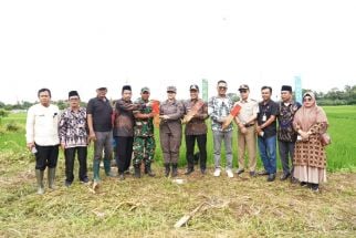 Wawako Cilegon: Patok Batas Bisa Meminimalkan Perselisihan Tanah - JPNN.com Banten