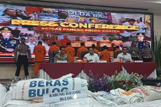 Ternyata Ini Penyebab Beras Bulog Langka di Pasaran - JPNN.com Banten