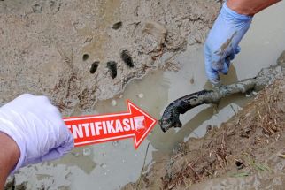 Warga Serang Tewas dengan Golok di Samping Jasad - JPNN.com Banten