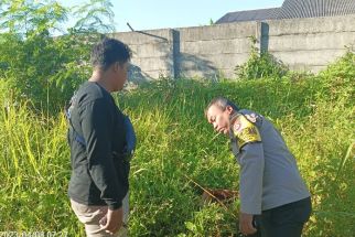 Warga Tangerang Temukan Bayi Dibuang di Semak-Semak - JPNN.com Banten
