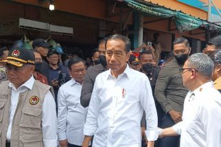 Cek Harga Bahan Pokok di Pasar Kelapa Cilegon, Jokowi Temukan Hal Ini - JPNN.com Banten
