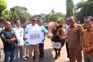 Pemkot Cilegon Dapat Sumbangan 256 Hewan Kurban dari Krakatau Steel - JPNN.com Banten
