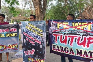 Komunitas Penggilingan Padi Banten Bakal Demo Besar-besaran PT Wilmar - JPNN.com Banten