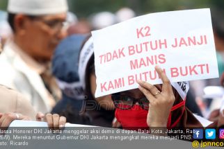 Panggung Politik 2024, Honorer Jangan Jadi Korban Lagi! - JPNN.com NTB