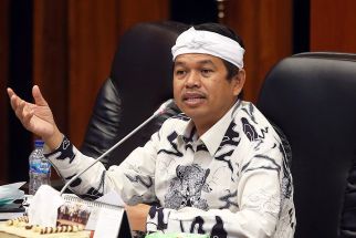Dedi Mulyadi Diteriaki "Duren Sawit" Oleh Mak-mak Saat Berkunjung ke Permukiman Warga, Apa Itu? - JPNN.com Jabar