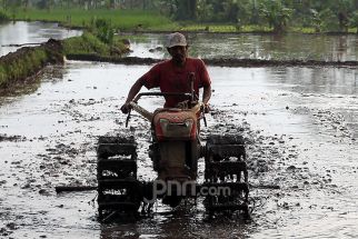 Pemkab Kulon Progo Diminta Sediakan Hal Ini untuk Bantu Pertanian Masyarakat - JPNN.com Jogja