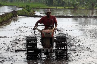 Inflasi di Sumbar Dinilai Menyebabkan Masalah Cukup Besar untuk Perekonomian Indonesia - JPNN.com Sumbar