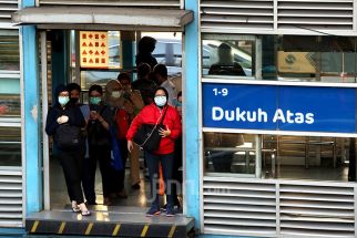 Transjakarta Punya Kabar Baik, Khusus Wanita, Pink - JPNN.com Jakarta