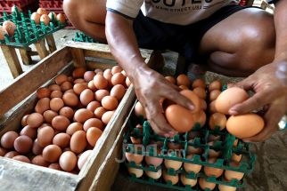 Harga Telur Ayam Makin Enggak Masuk Akal, Pedagang dan Pembeli Menjerit, ah - JPNN.com Jakarta