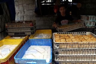 Pemkab Bogor Tutup Dua Pabrik Tahu Berformalin di Parung - JPNN.com Jabar