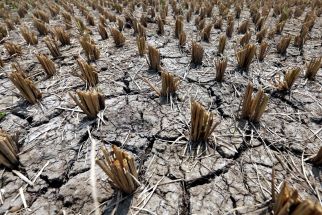 Memasuki Musim Kemarau Ribuan Warga Karawang Mulai Kesulitan Mendapatkan Air Bersih - JPNN.com Jabar