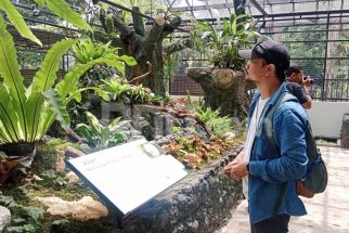 Taman Begonia Siap Jadi Primadona Baru di Kebun Raya Bogor - JPNN.com Jabar