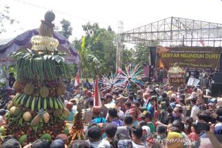 Pusat Penghasil Durian di Kudus Ditetapkan Sebagai Desa Wisata, Yuk ke Sini! - JPNN.com Jateng
