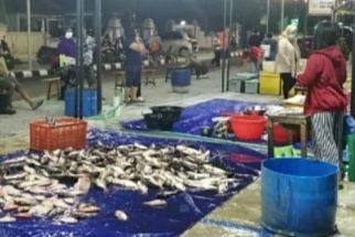 Wisata Pasar Ikan yang Diinisiasi Jokowi, Berkembang di Periode Gibran, Lihat! - JPNN.com Jateng