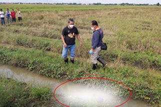 Warga Tegal Gempar Lagi, Mayat Wanita Ditemukan Tergeletak di Sawah - JPNN.com Jateng