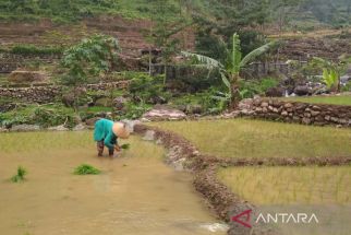 Musim Hujan, Pemkab Batang Meminta Petani Perhatikan Pola Tanam - JPNN.com Jateng