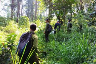 Pertamina Terjun ke Gunung Lawu, Temuannya Sangat Berharga - JPNN.com Jateng