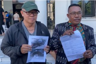 Jan Hwa Diana Kembali Dipolisikan, Kali Ini Kasus Perusakan Mobil - JPNN.com Jatim