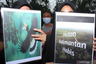 KLHK Bantah Tudingan Izin Bukan Lahan Era Jokowi Jadi Penyebab Bencana Alam di Indonesia - JPNN.com Jatim