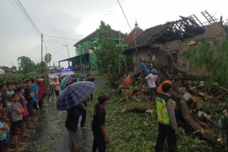 Sejumlah Wilayah di Blitar Diterpa Pohon Tumbang - JPNN.com Jatim