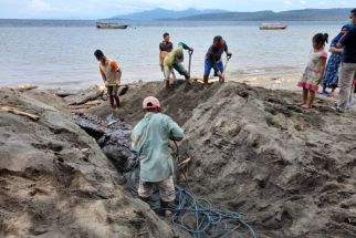 KKP Kubur Bangkai Seekor Paus Orca yang Mati di Banyuwangi - JPNN.com Jatim