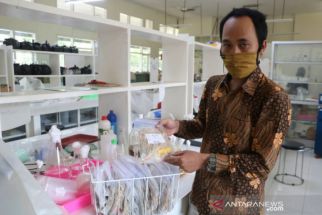 Peneliti Unej Dorong Penciptaan Padi Baru Berbasis Plasma Nutfah Asli Indonesia - JPNN.com Jatim