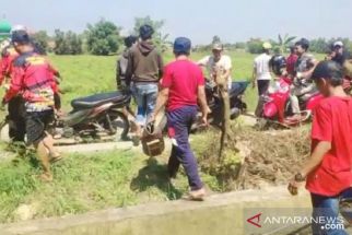 Duh! Warga Sampang Malah Gelar Kerapan Kelinci saat PPKM Darurat - JPNN.com Jatim