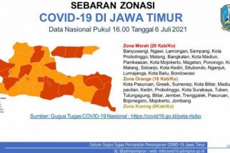 20 dari 38 Kabupaten/Kota di Jatim Zona Merah COVID-19, Lihat Daftarnya - JPNN.com Jatim