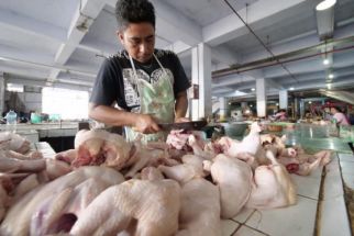 Gegara Daging Ayam Ras, Jember Deflasi 0,05 Persen - JPNN.com Jatim