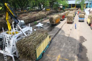 Tiga Bulan Menggiling, PTPN X Produksi 146.823 Ton Gula - JPNN.com Jatim