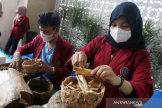 Limbah Pelepah Pisang Disulap Mahasiswa UMSurabaya Jadi Pot Ramah Lingkungan - JPNN.com Jatim