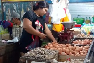 Pasokan Tak Stabil, Harga Telur dan Daging Ayam Ras di Jember Fluktuatif - JPNN.com Jatim