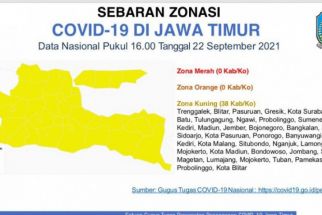 Seluruh Wilayah di Jawa Timur Masuk Zona Kuning - JPNN.com Jatim