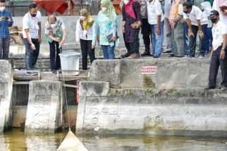 Dongkrak Potensi Wisata, Magetan Gelar Panen Ikan di Situs Sendang Kamal - JPNN.com Jatim