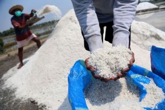 Tingkatkan Kualitas Garam di 2022, DKPP Surabaya Berikan Batuan Geomembran Ke Petani - JPNN.com Jatim