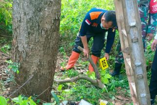 Lagi Cari Mangga, 2 Warga Kediri Temukan Mayat di Kebun Tebu - JPNN.com Jatim